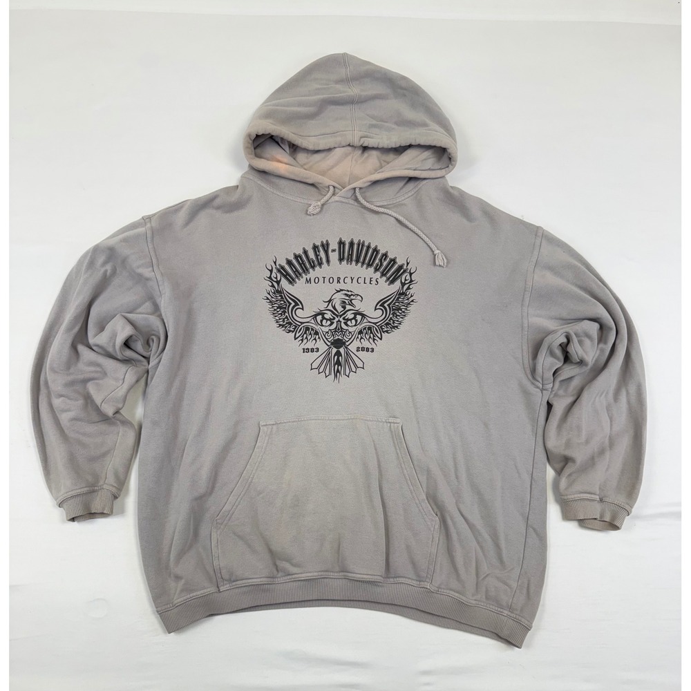 Vintage 2003 Harley Davidson Hoodie Mens Medium‎ Gray Eagle Graphic Made in USA